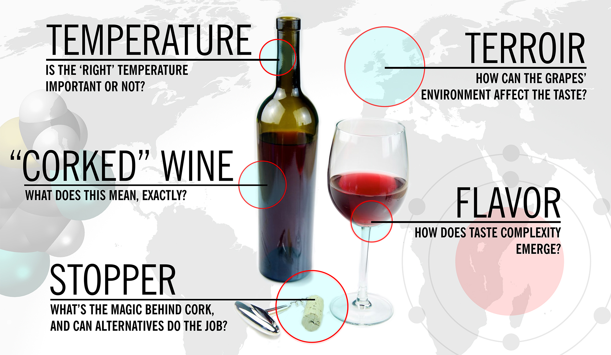 5 Things Worth Knowing About the Science of Wine