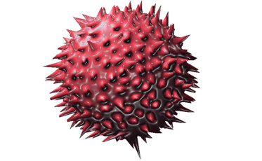 Imaginingaworldwithoutflu