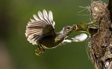 31_s_451499275_800x494