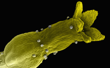 34_j_88762729_800x494