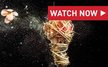 mind over masters_watch now